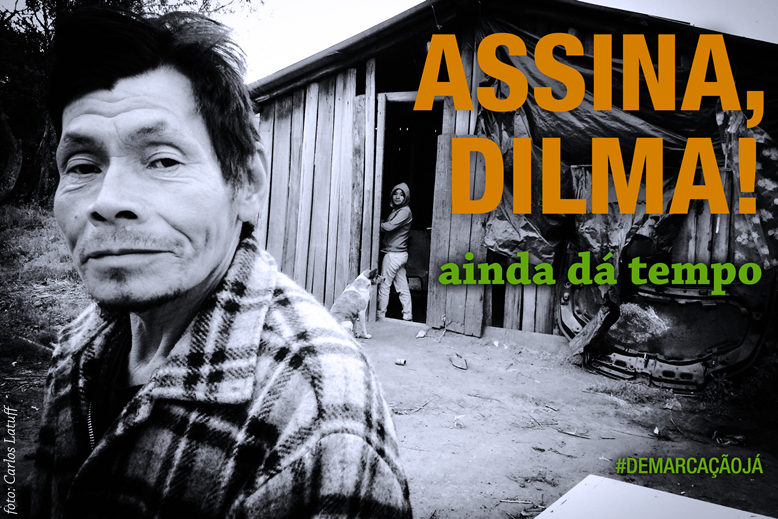 Participe da campanha: Assina, Dilma! Antes que seja tarde!