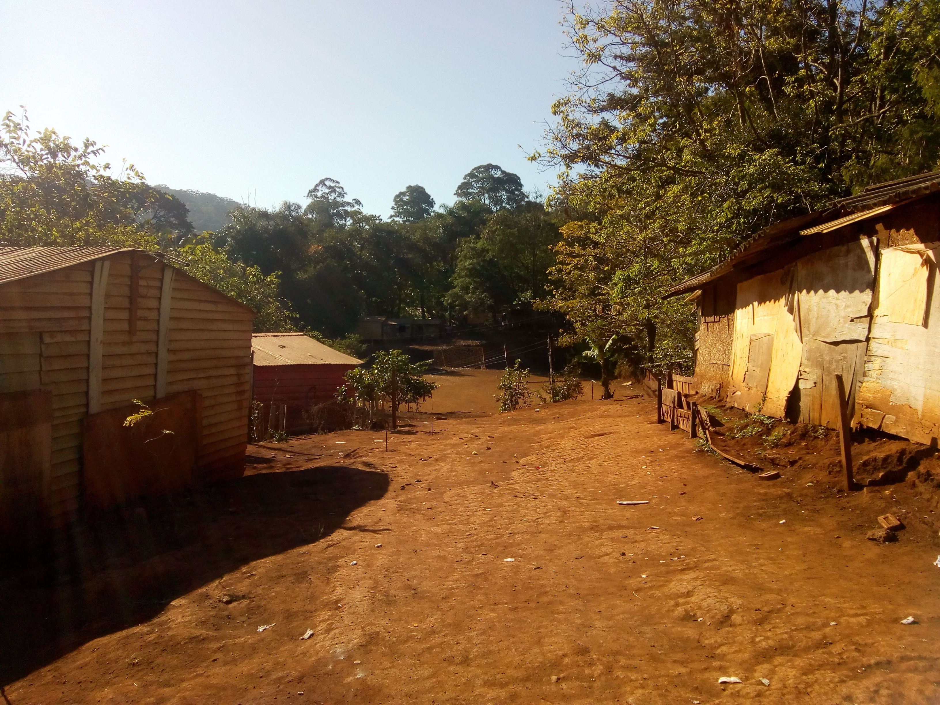 Com coronavírus, os Guarani em São Paulo vivem isolamento em comunidade