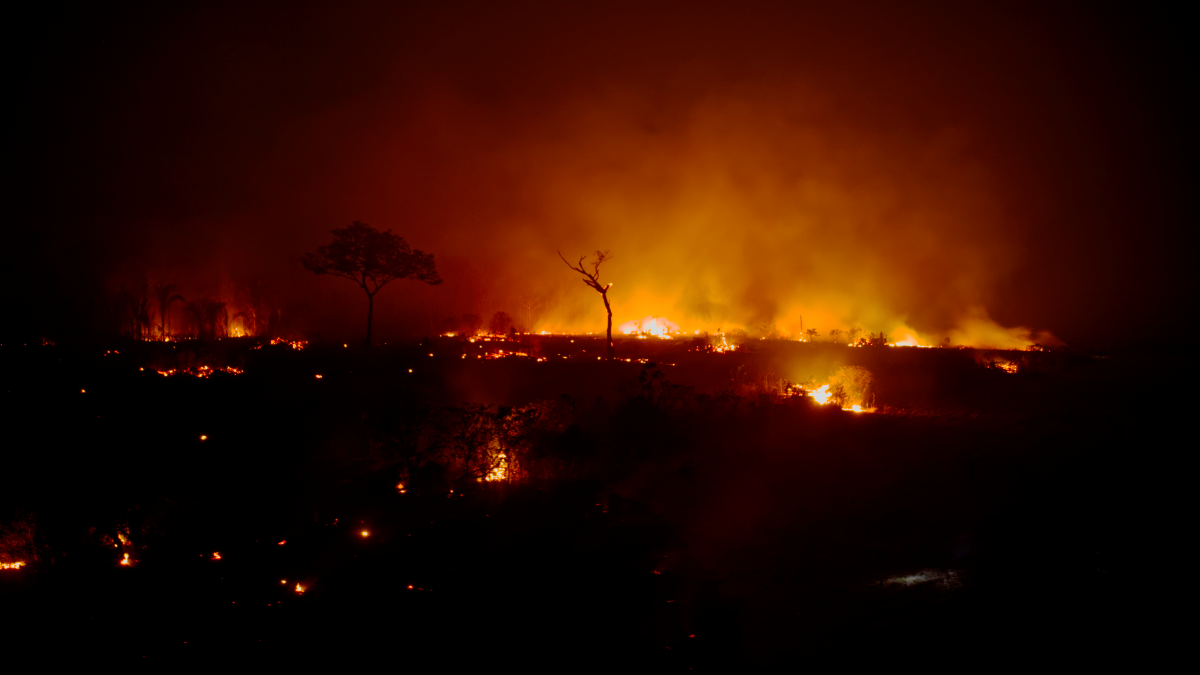 Organizações de três países denunciam queimadas e desmatamento em territórios de povos isolados