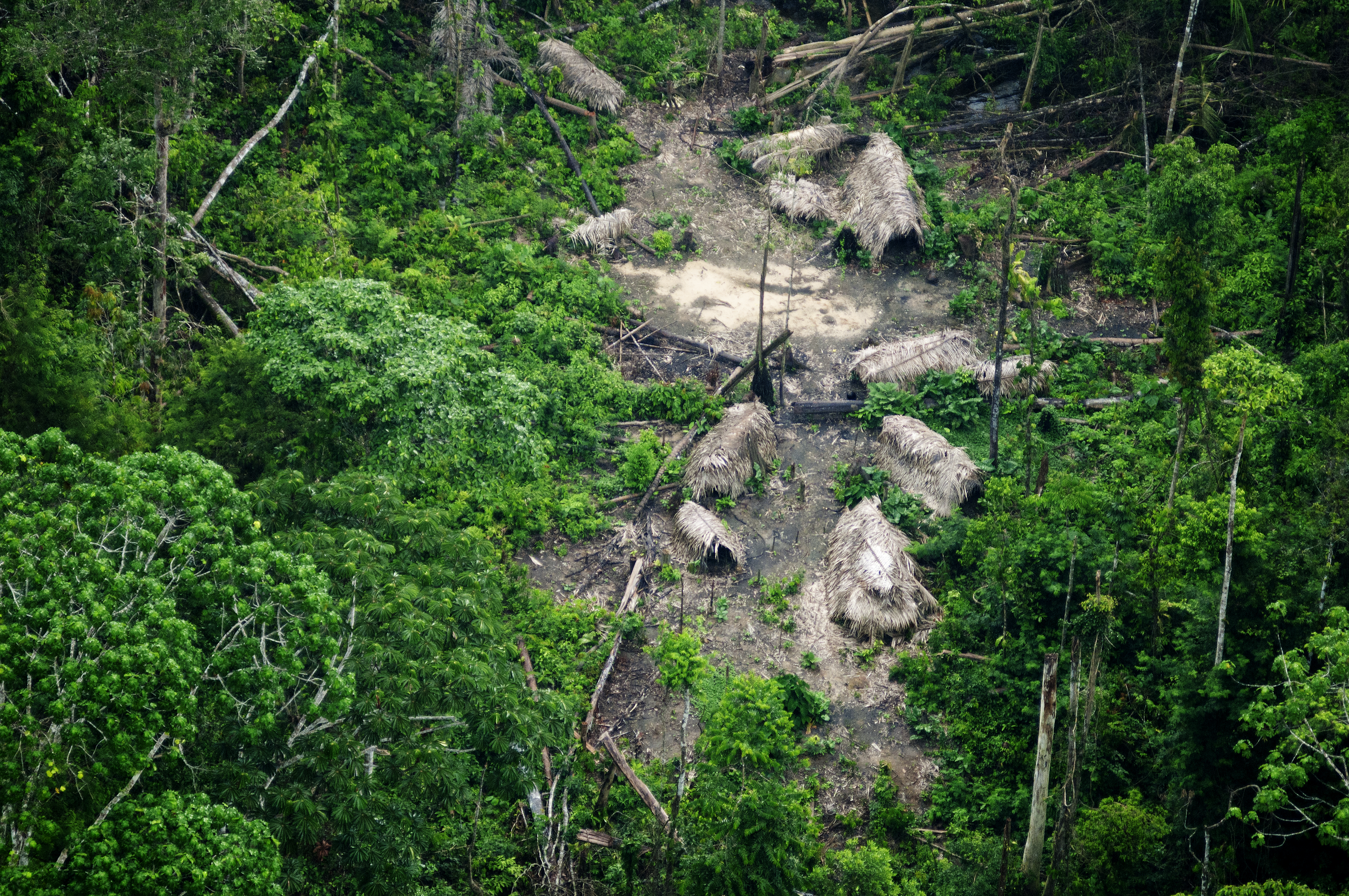 CTI repudia declarações do coordenador regional da Funai no Vale do Javari que incitam os Marubo a “meter fogo nos isolados”