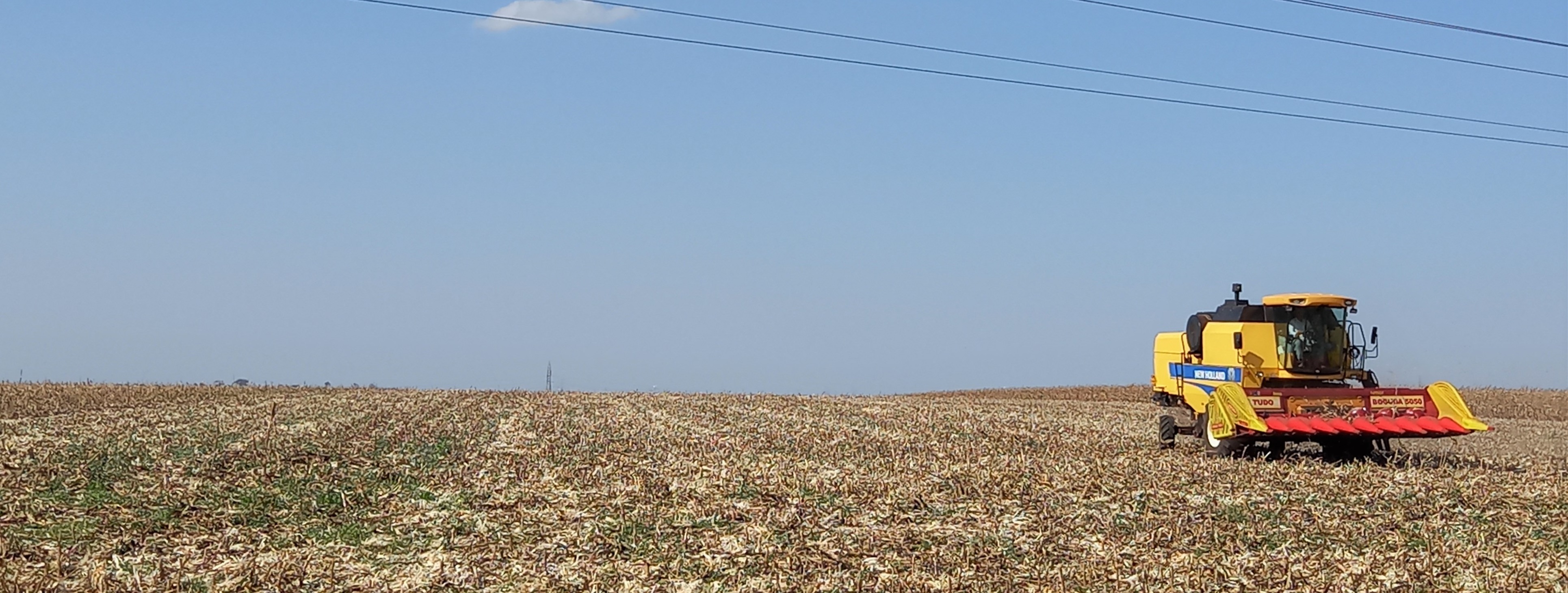 Lançamento: Soja, milho e pecuária dominam 60% de território do povo Avá-Guarani (PR), revela estudo