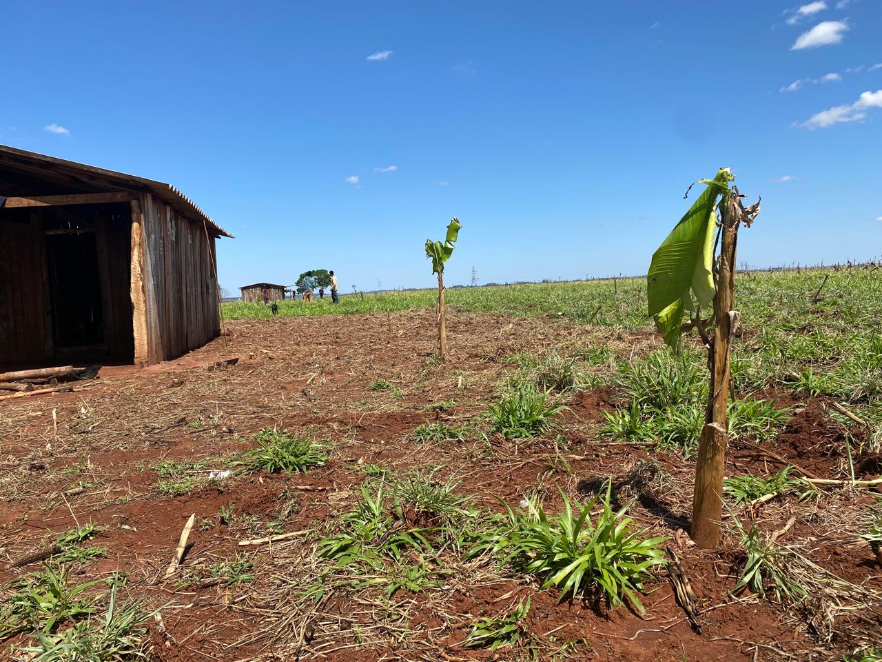 Nota do CTI sobre novo ataque contra os Ava Guarani no Oeste do Paraná